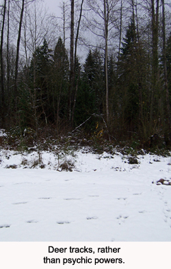 Deer tracks, rather than psychic powers.